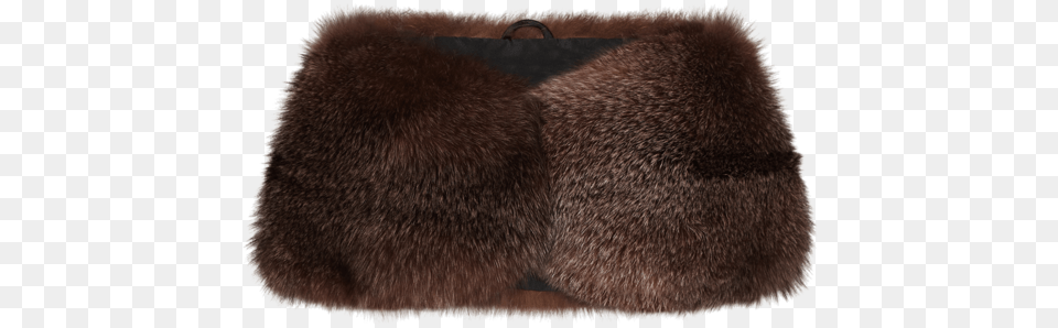 Tyra Fur Clothing, Animal, Bear, Mammal, Wildlife Png