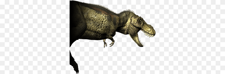 Tyrannosaur Height, Animal, Dinosaur, Reptile, T-rex Png