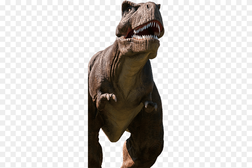 Tyrannosaurus, Animal, Dinosaur, Reptile, T-rex Free Transparent Png