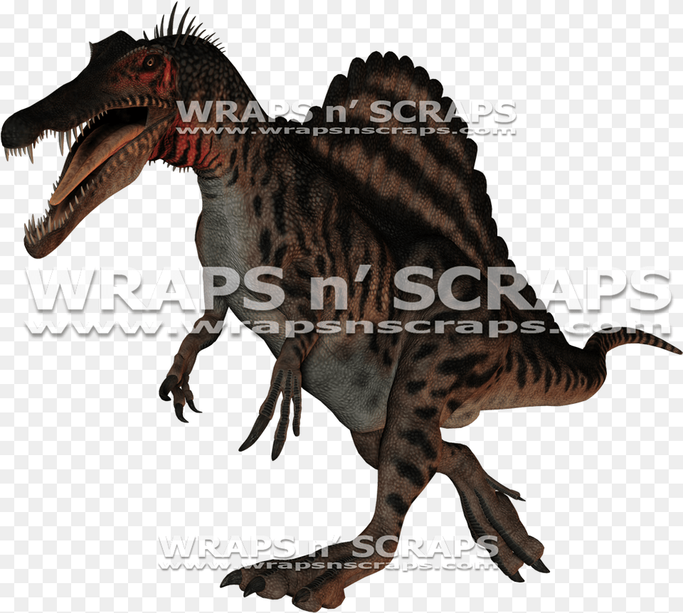 Tyrannosaurus, Animal, Dinosaur, Reptile, T-rex Free Transparent Png