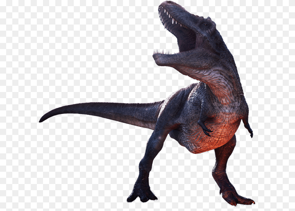 Tyrannosaurus, Animal, Dinosaur, Reptile, T-rex Png