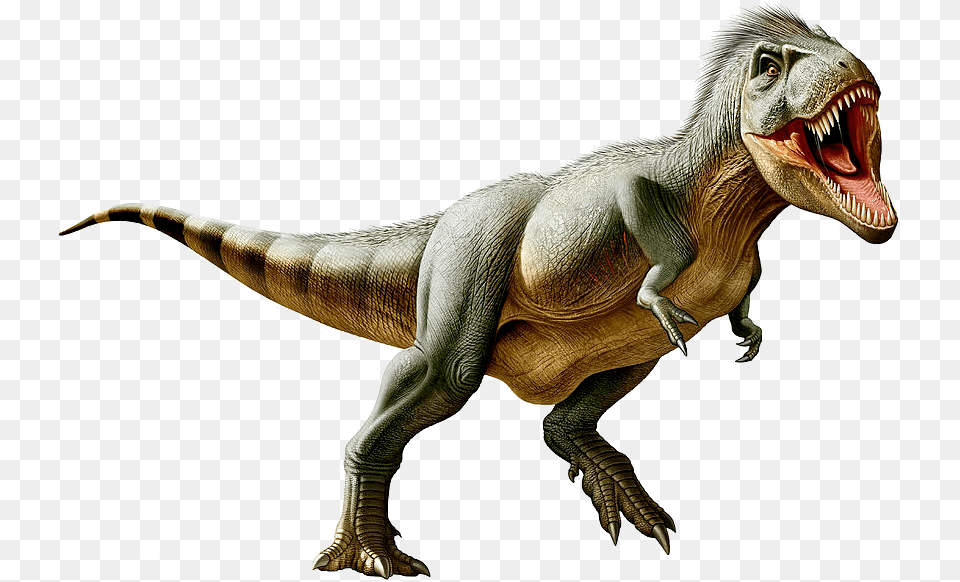 Tyrannosaurus, Animal, Dinosaur, Reptile, T-rex Png