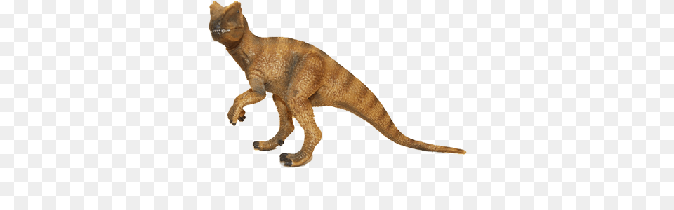 Tyrannosaurus, Animal, Dinosaur, Reptile, T-rex Png Image