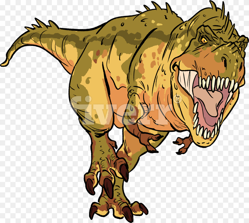 Tyrannosaurus, Animal, Dinosaur, Reptile, T-rex Free Transparent Png