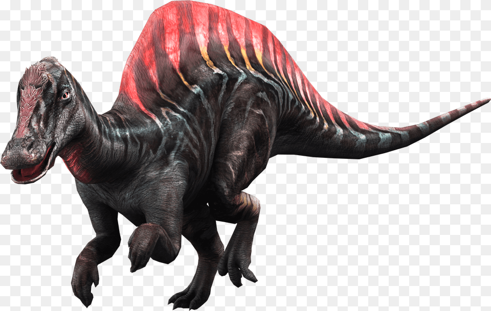 Tyrannosaurus, Animal, Dinosaur, Reptile, T-rex Free Png Download