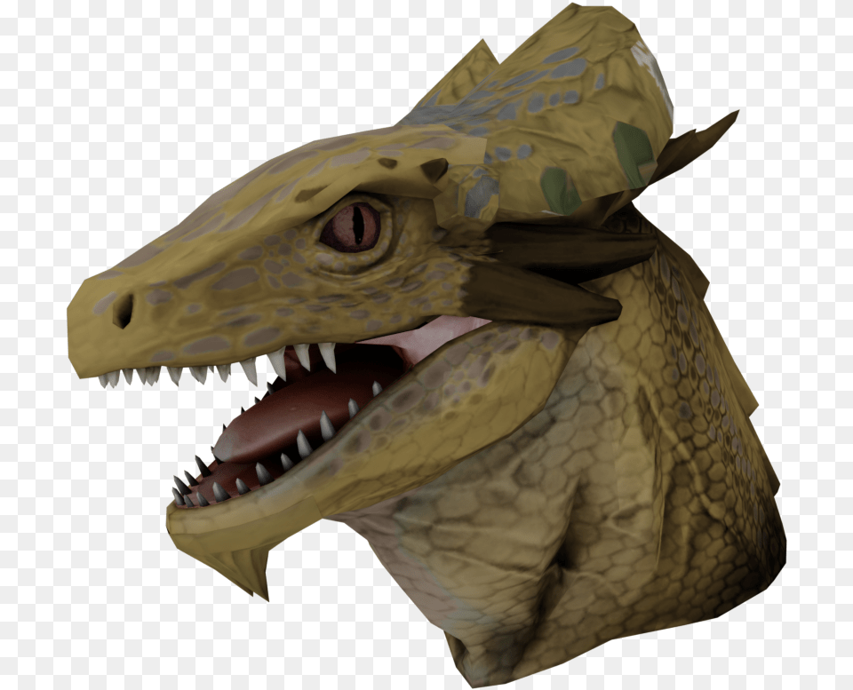 Tyrannosaurus, Animal, Dinosaur, Reptile, T-rex Free Transparent Png