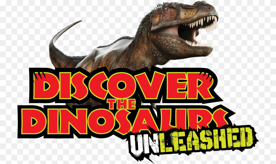 Tyrannosaurus, Animal, Dinosaur, Reptile, T-rex Free Transparent Png