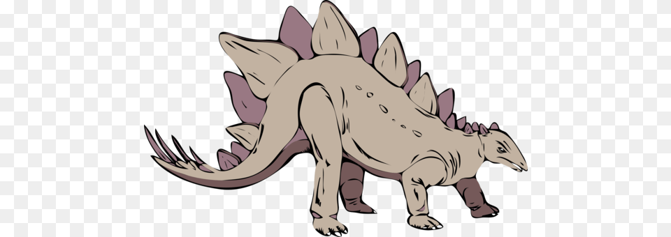 Tyrannosaurus Dinosaur Stegosaurus Triceratops Fossil, Baby, Person, Animal, Reptile Png