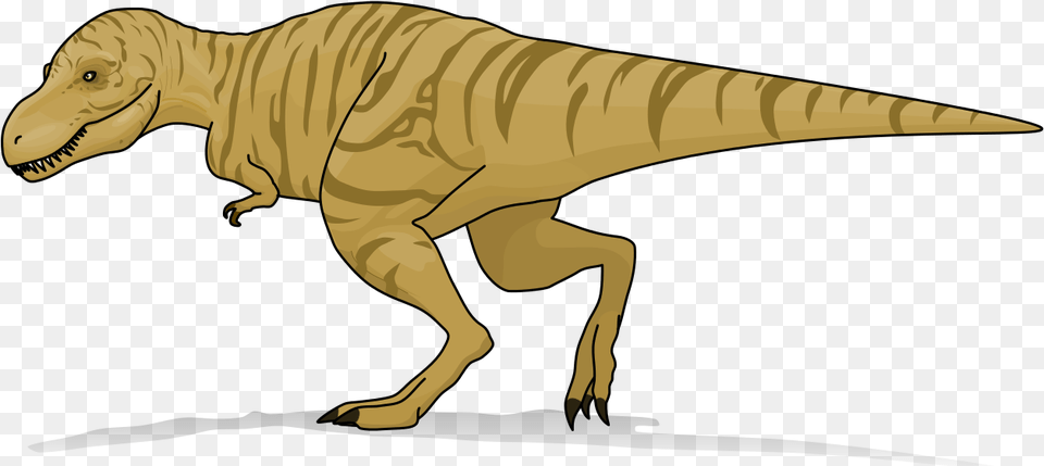 Tyrannosaurus Rex 1 Heavyline Truth About Killer Dinosaurs T Rex Size, Animal, Dinosaur, Reptile, T-rex Png Image