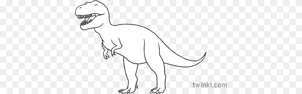 Tyrannosaurus Rex Black And White 2 Illustration Twinkl Dragon Egg Black And White, Animal, Dinosaur, Reptile, T-rex Png Image
