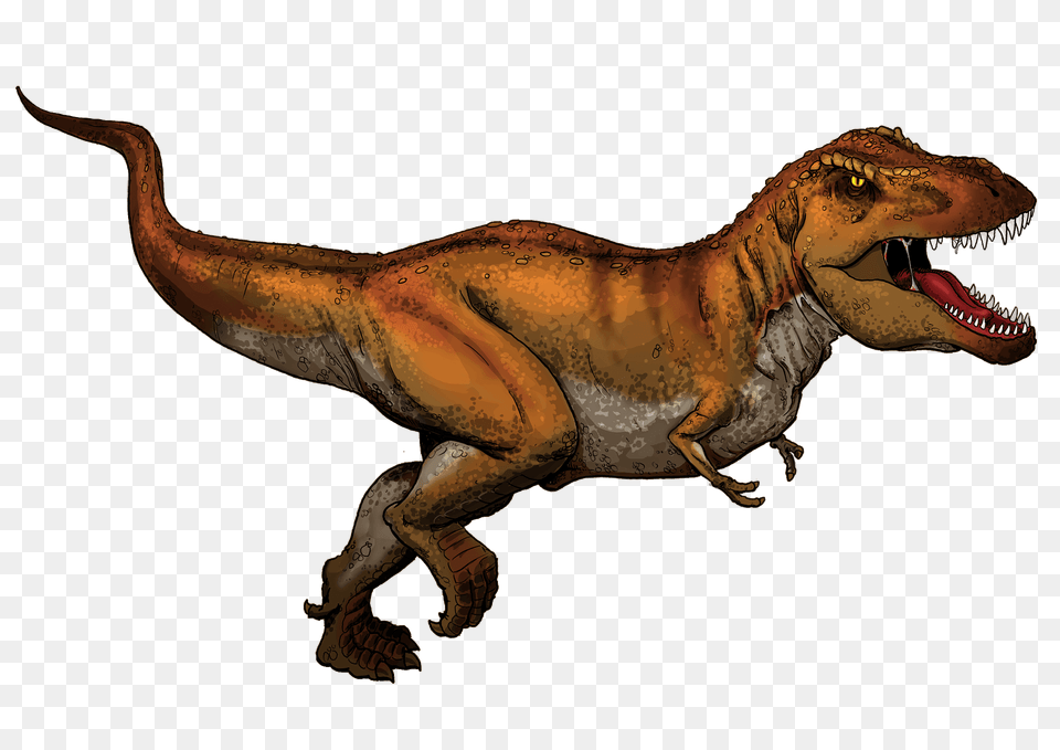 Tyrannosaurus Rex Clipart, Animal, Dinosaur, Reptile, T-rex Free Png Download
