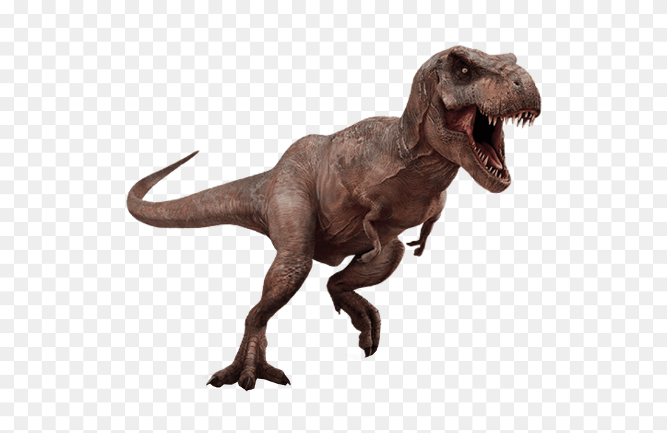 Tyrannosaurus Rex Image, Animal, Dinosaur, Reptile, T-rex Png