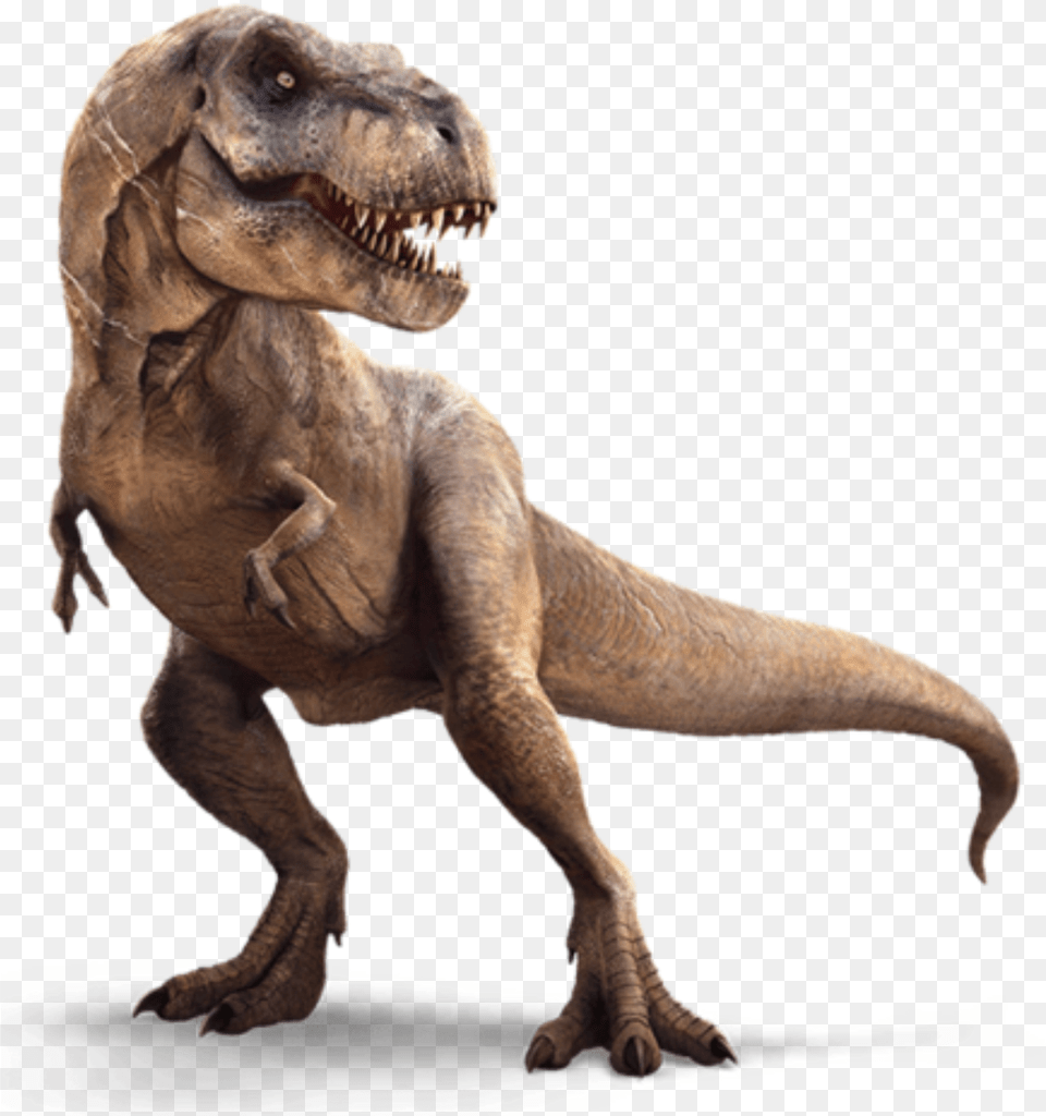 Tyrannosaurus Rex Mmartyniuk T Rex, Animal, Dinosaur, Reptile, T-rex Png