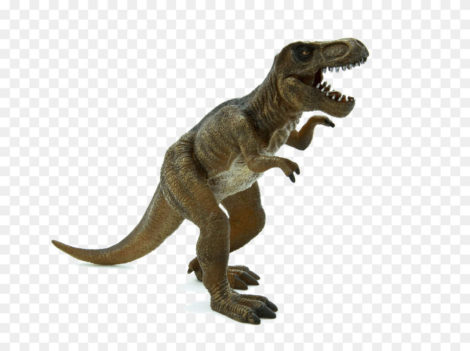 Tyrannosaurus Rex T Rex Stegosaurus Dinosaur, Heart Png Image