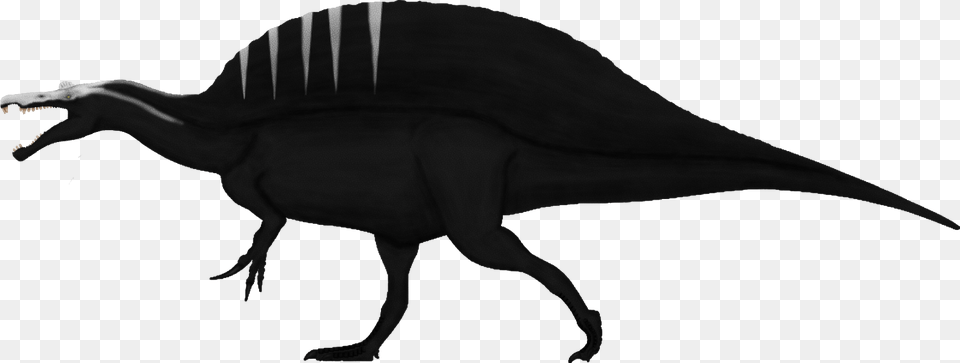 Tyrannosaurus Rex Vs Spinosaurus Aegyptiacus, Animal, Dinosaur, Reptile, T-rex Free Png