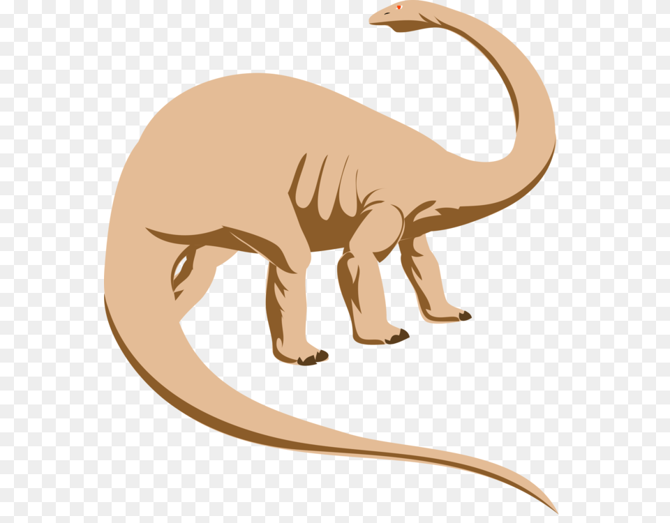 Tyrannosaurus Velociraptor Dinosaur Stegosaurus Triceratops Animal, Mammal, Fish, Sea Life Free Transparent Png