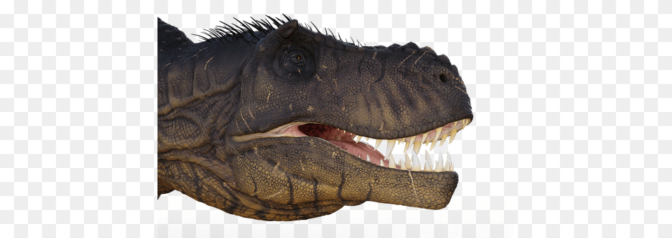 Tyrant Saurian Animal, Dinosaur, Reptile, T-rex Png Image