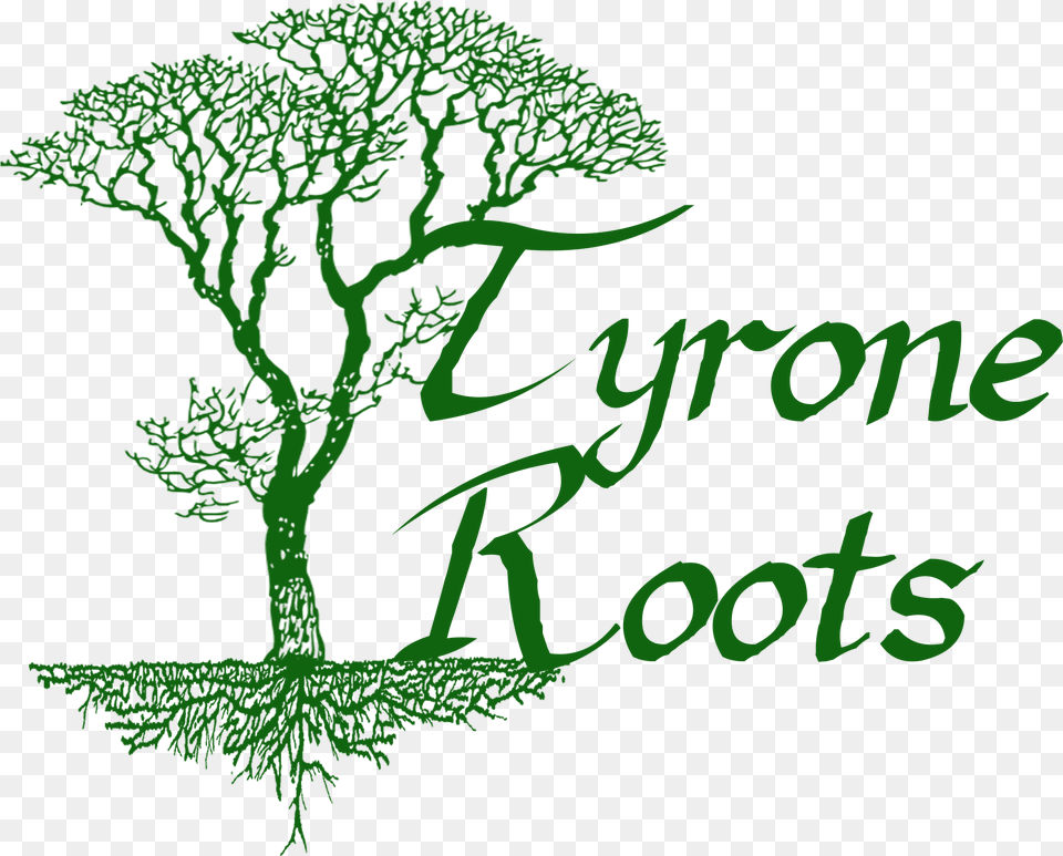 Tyrone Roots Illustration, Green, Plant, Tree, Vegetation Free Png