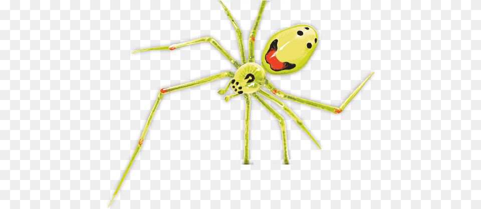 U Haul Supergraphics Uhaul Spider, Animal, Invertebrate Free Png Download