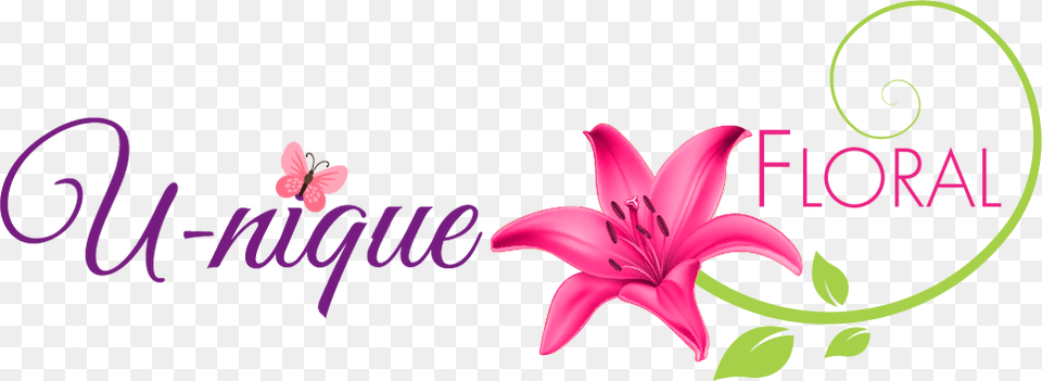 U Nique Floral Llc, Flower, Plant, Petal, Anther Png Image