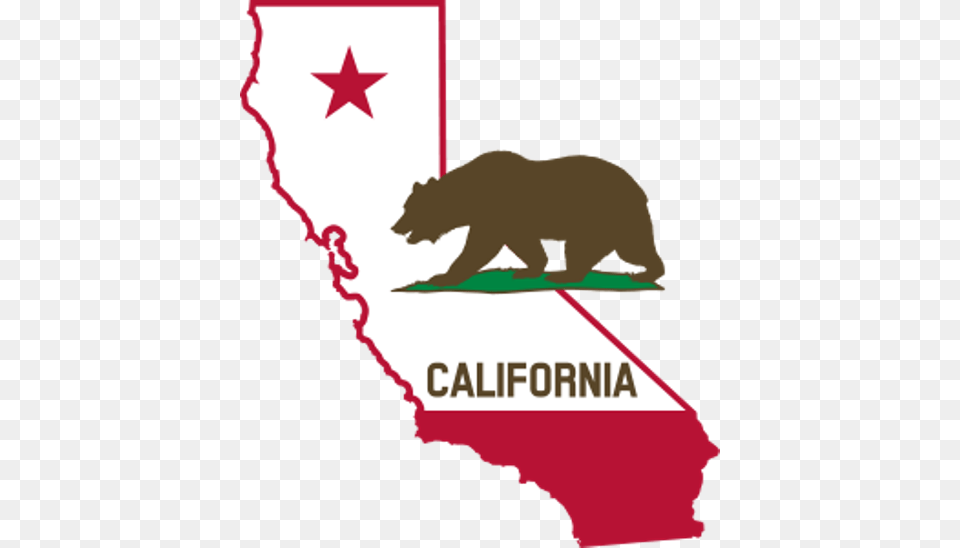 U S Chamber Providing Both Hope And Help For California, Baby, Person, Animal, Mammal Free Png Download