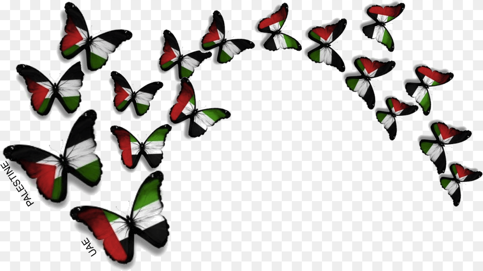 Uae And Palestine Uae Flag Butterfly, Art, Graphics, Accessories, Plant Png