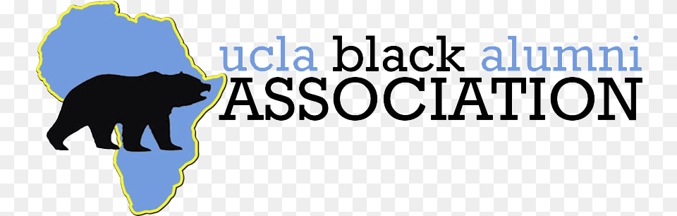 Ucla Black Alumni Association Statement Ucla Black Alumni Association, Animal, Bear, Mammal, Wildlife Free Png