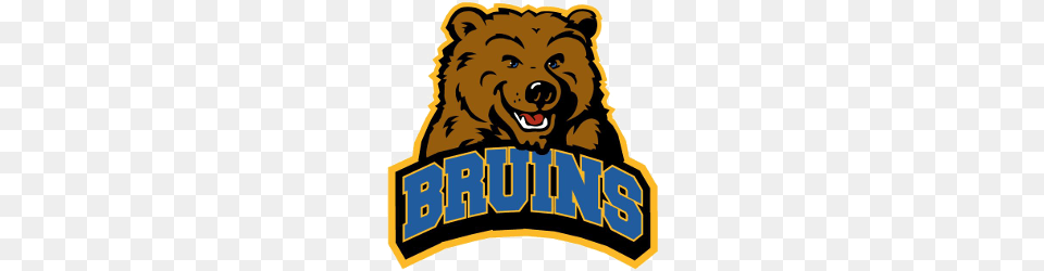 Ucla Bruins Alternate Logo Sports Logo History, Mammal, Animal, Brown Bear, Bear Png