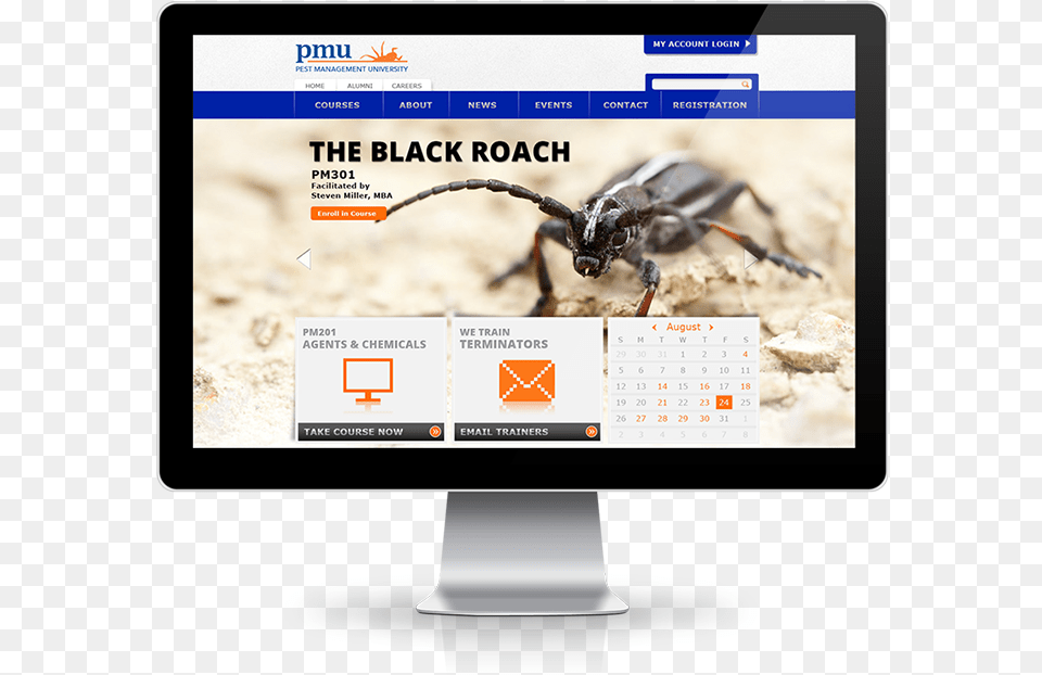 Uf Website Mockup Web Design Instagram, Animal, Insect, Invertebrate, Text Free Transparent Png