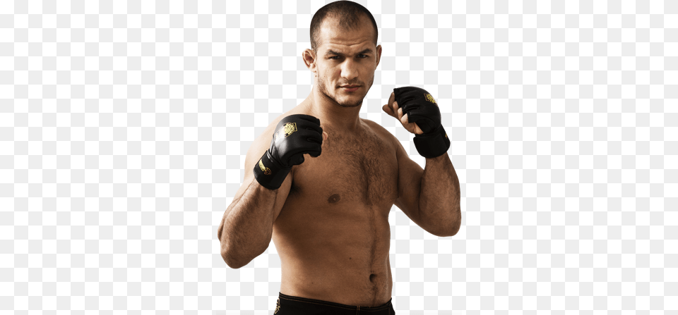 Ufc, Adult, Male, Man, Person Free Png