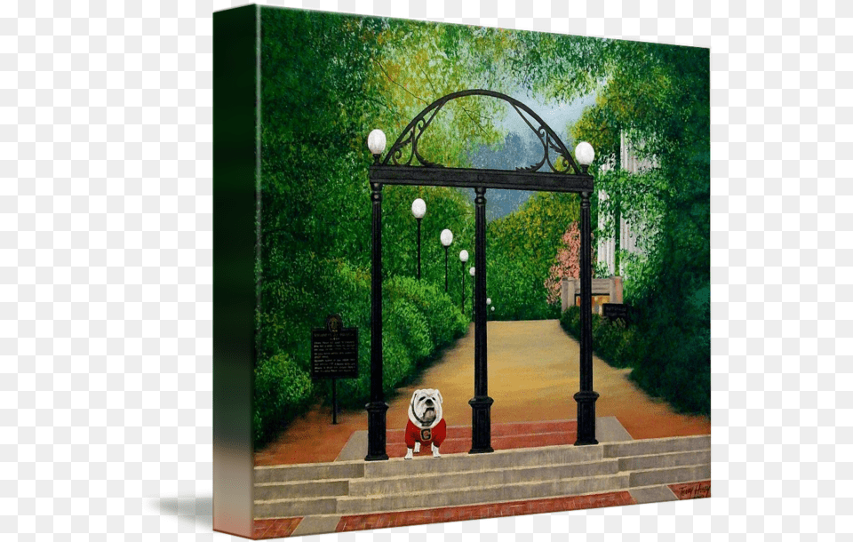 Uga Arch Shade, Outdoors, Bus Stop, Nature, Garden Png Image