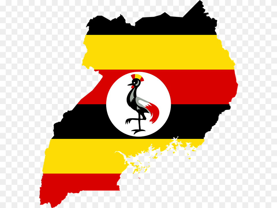 Uganda Could Be The First African Country Opting For Bitcoin, Animal, Bird, Logo Free Png Download
