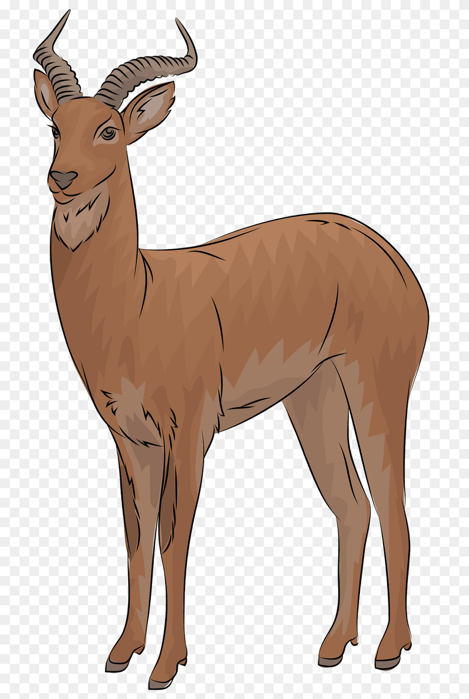 Uganda Kob Antelope Clipart, Animal, Impala, Mammal, Wildlife Png Image