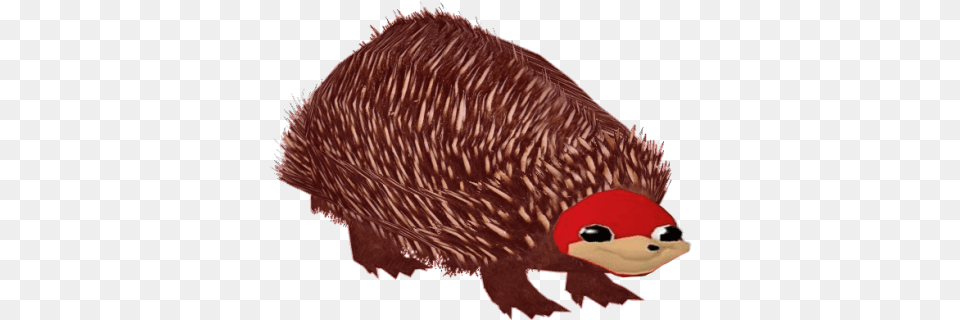 Ugandan Knuckles Doyouknowdawhey Twitter Soft, Animal, Hedgehog, Mammal, Porcupine Free Transparent Png