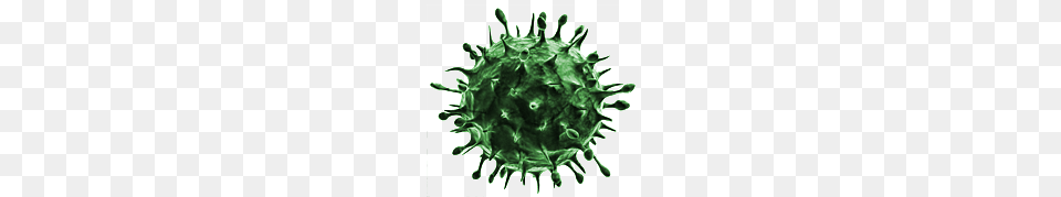 Ugly Green Virus, Accessories, Algae, Plant, Pattern Png