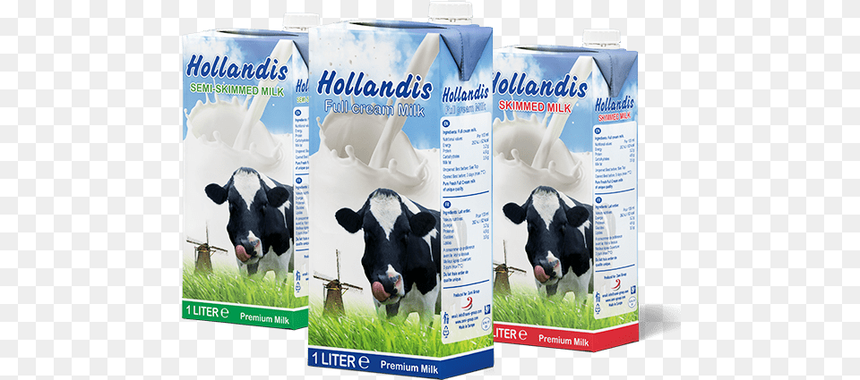 Uht Milk Cow Image On Milk Product, Beverage, Animal, Cattle, Dairy Png