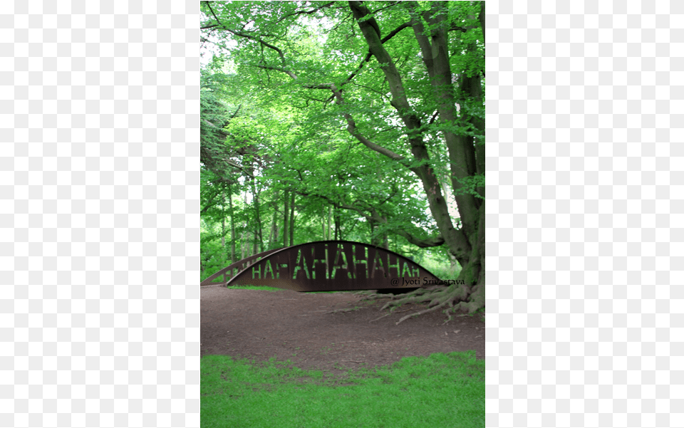 Uk England Yorkshire Sculpture Park Ha Ha Bridge Yorkshire Sculpture Park, Woodland, Vegetation, Tree, Plant Png