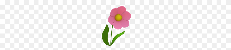 Uki Flower, Anemone, Daisy, Geranium, Petal Free Png