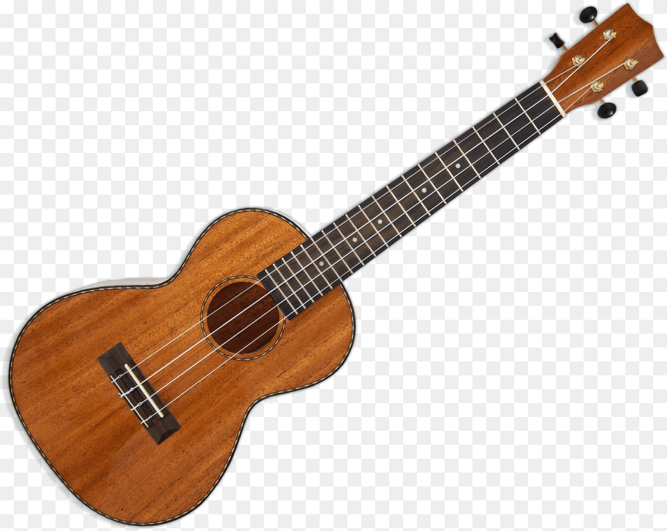 Ukulele Vector Oval Ibanez Concert Ukulele, Bass Guitar, Guitar, Musical Instrument Png