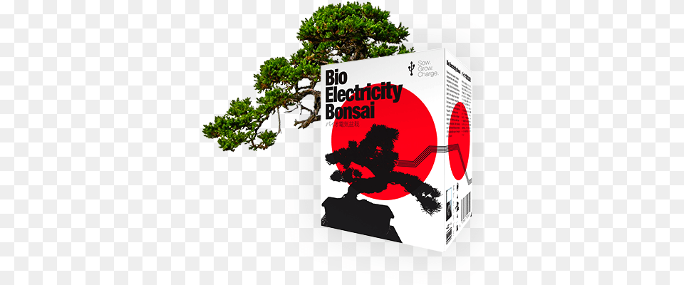 Ultimate Guide In Creating Your Very Own Bonsai By, Plant, Potted Plant, Tree, Person Free Png