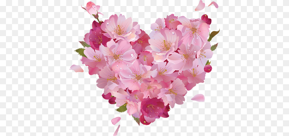 Ultismart Ultismarttm Warm Romantic Pink Flower Love, Plant, Cherry Blossom, Petal Png Image