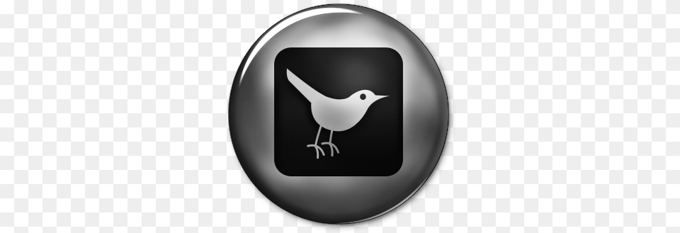 Ultra Glossy Silver Button Icon Social Media Google Chrome Silver Icon, Sphere, Animal, Bird, Wren Png Image