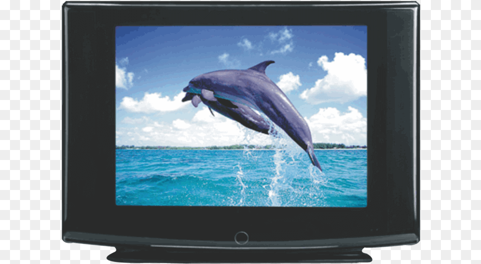 Ultra Slim Tv 21 Vk, Screen, Monitor, Hardware, Electronics Free Png Download