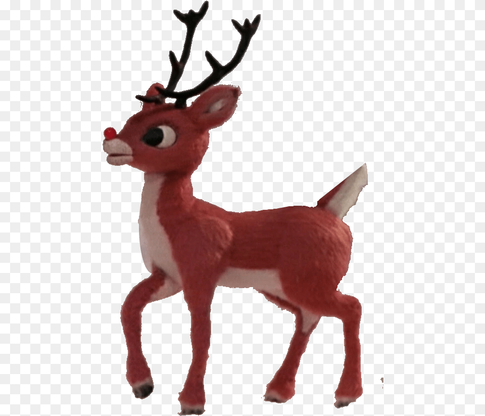 Ultrachairrudolph The Red Nosed Reindeer Rankin Bass Rudolph Transparent, Animal, Deer, Mammal, Wildlife Png Image