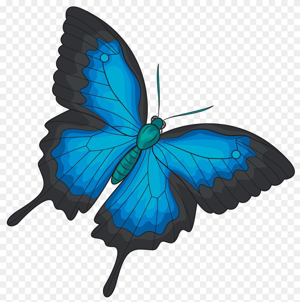 Ulysses Butterfly Clipart, Animal, Insect, Invertebrate Png Image
