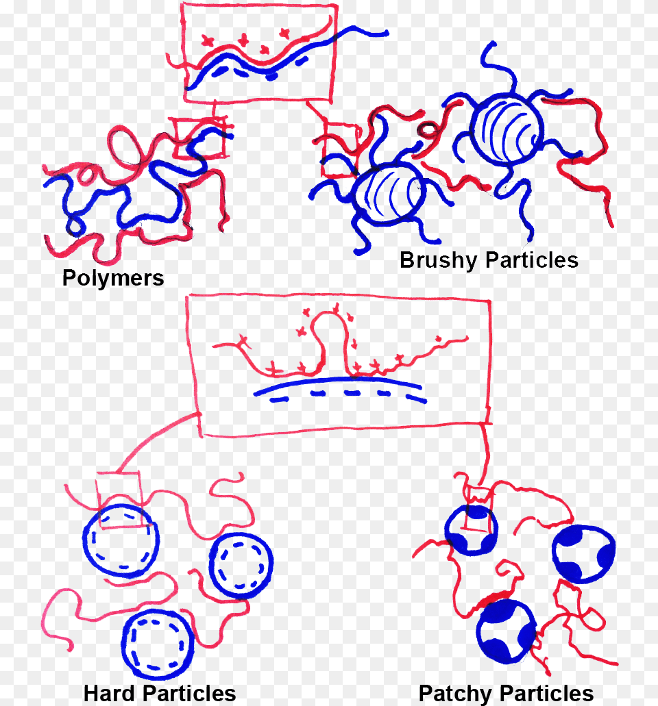 Umass Amherst Scientists Make Polymers Polymer Coacervates, Purple, Light Free Png