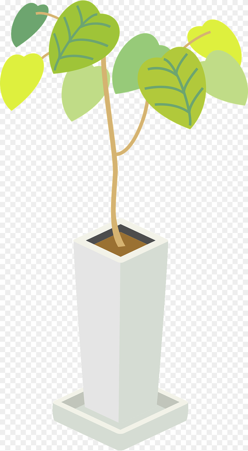 Umbellata Houseplant Clipart, Jar, Leaf, Plant, Planter Png