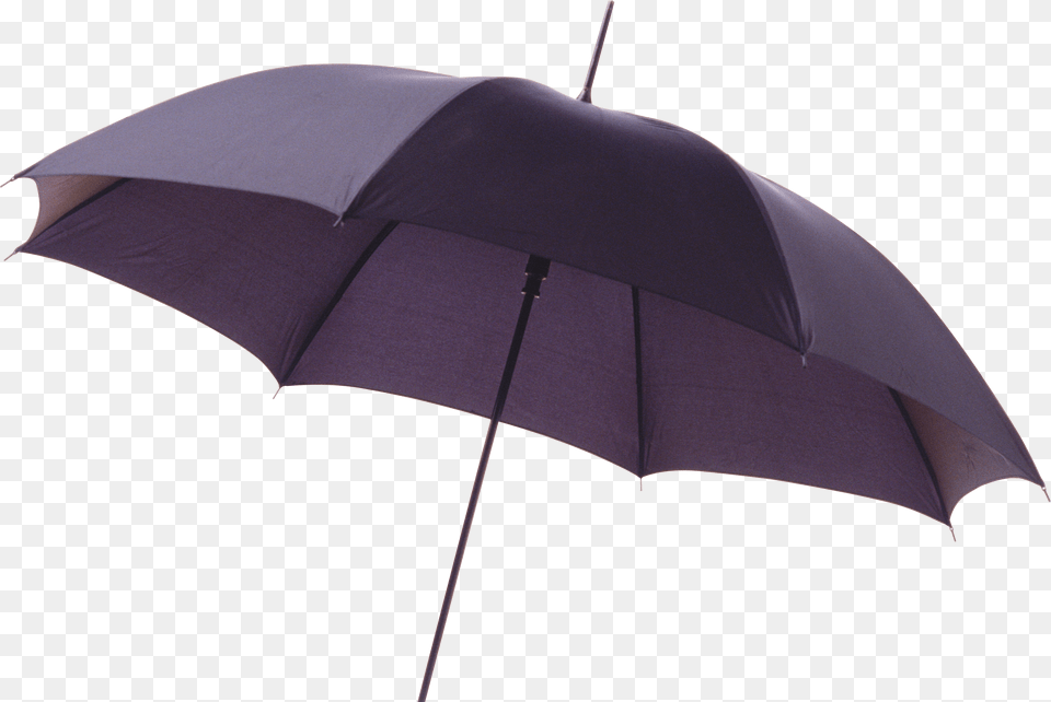 Umbrella, Canopy Free Png