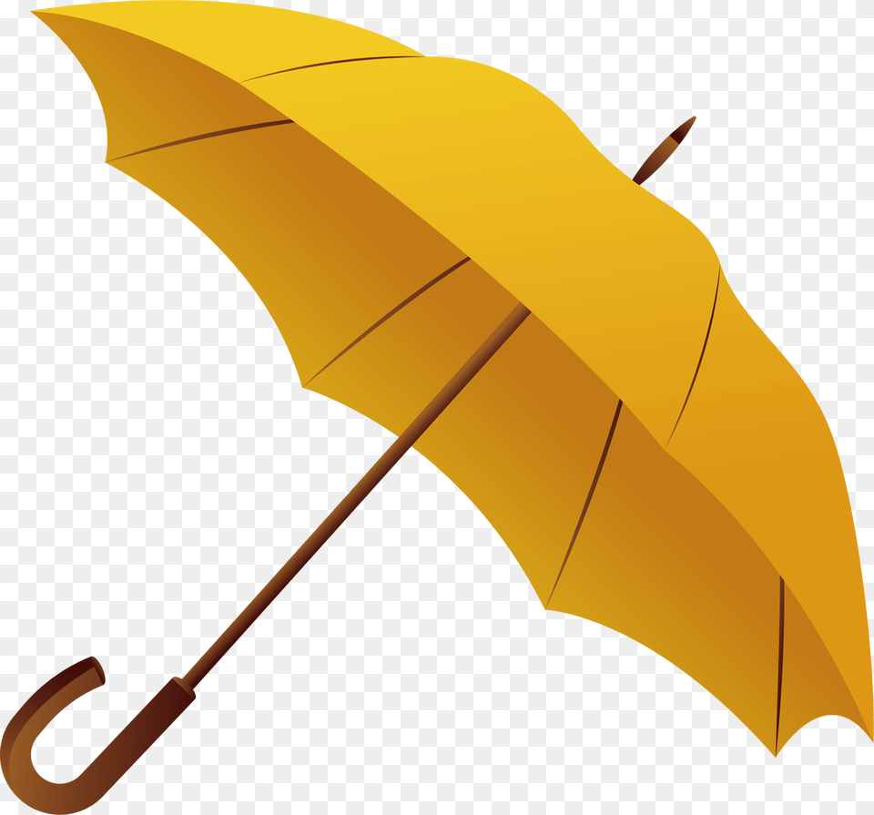 Umbrella, Canopy, Animal, Fish, Sea Life Free Transparent Png