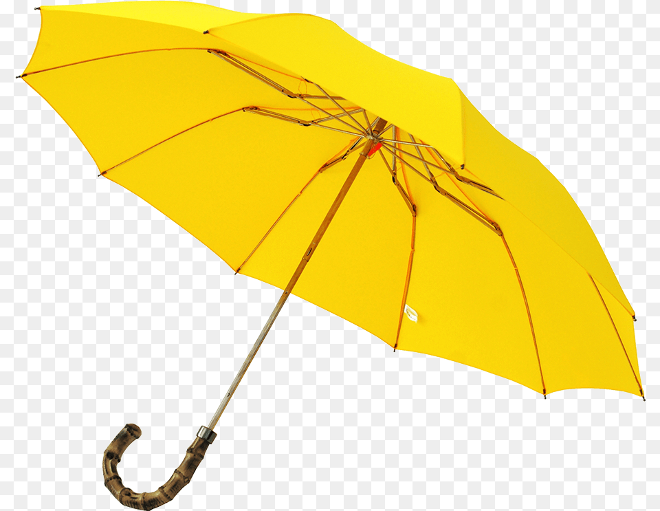 Umbrella, Canopy Free Transparent Png